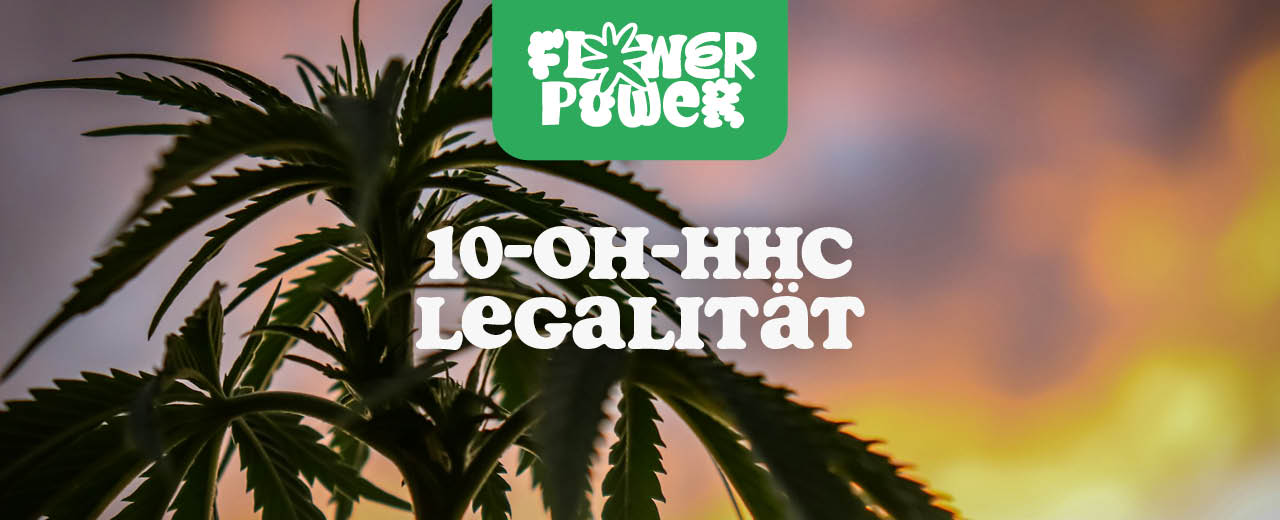 10HC Legalität