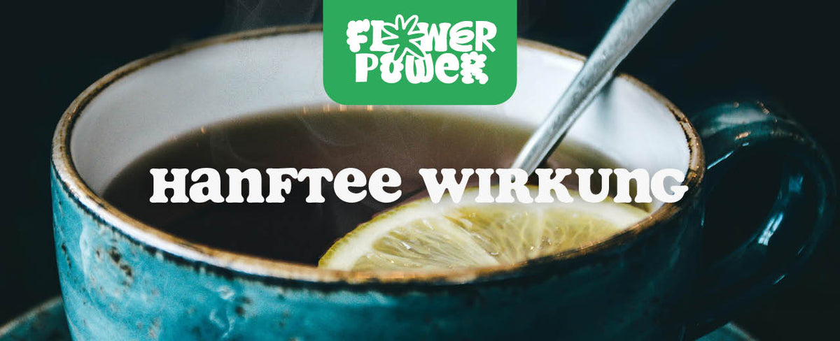 Hanftee
