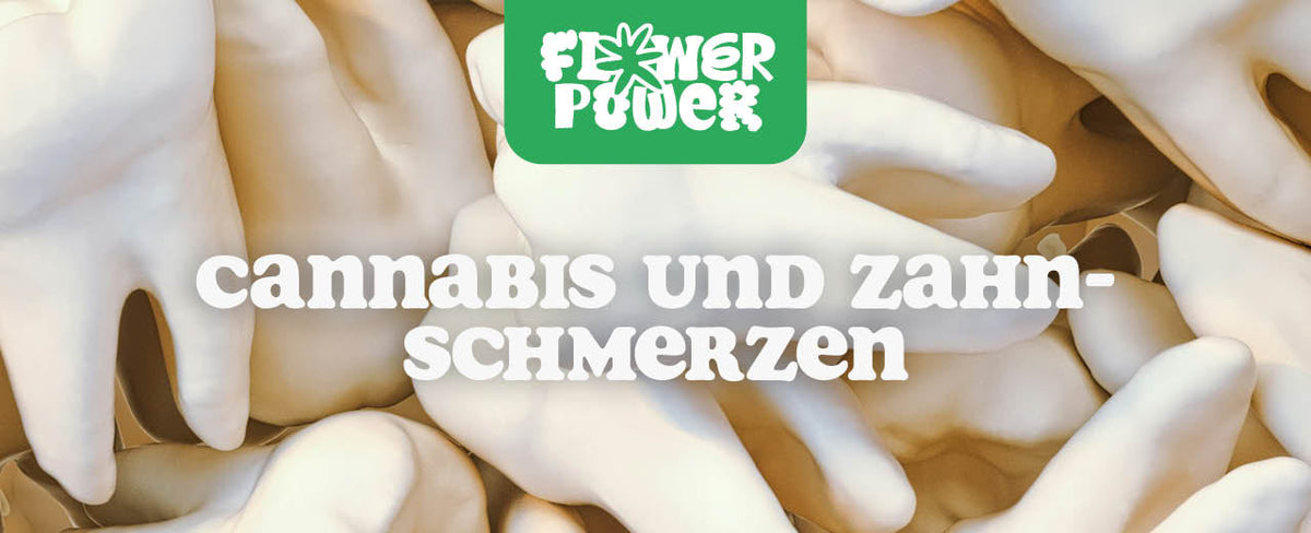 Cannabis