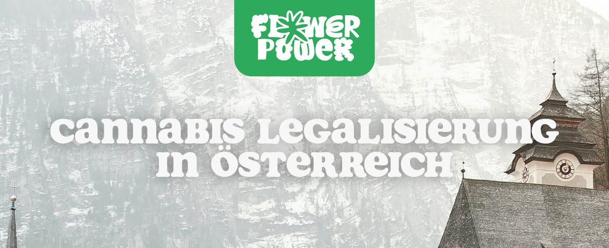 Cannabis Legalisierung in Österreich 2025 Aktuelle Lage Flower Power