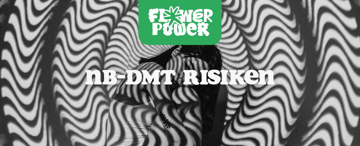 NB-DMT