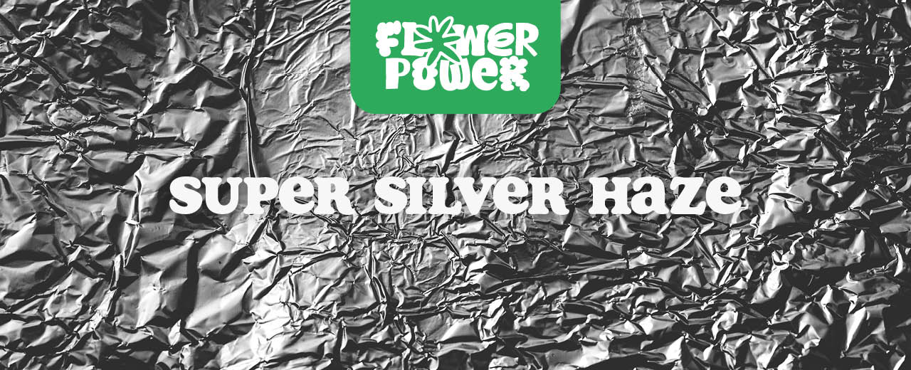 Super Silver Haze