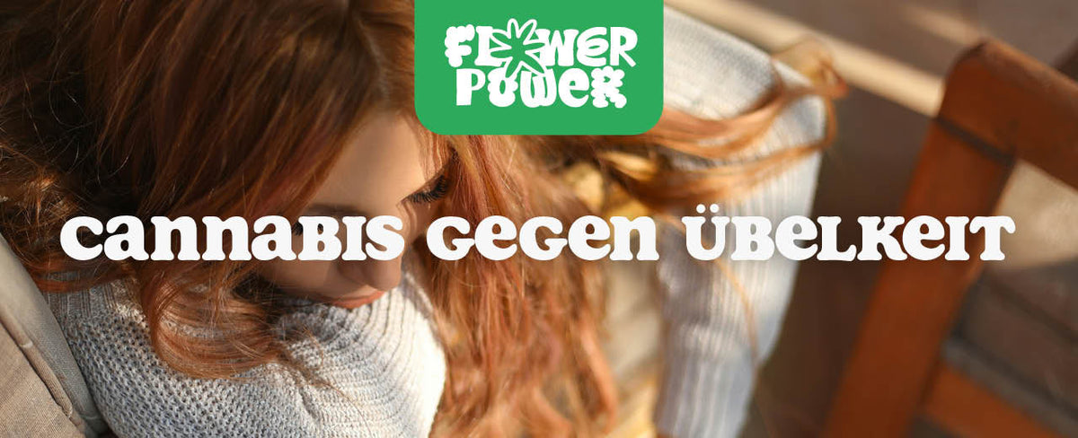 Cannabis