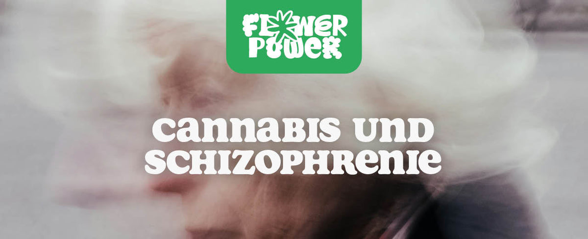 Cannabis