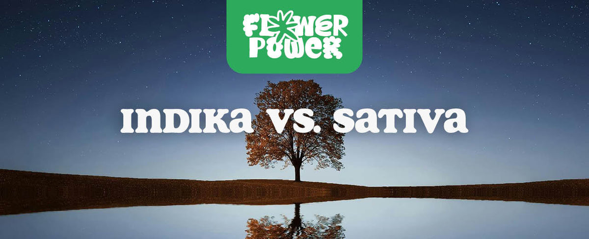 Indika vs. Sativa