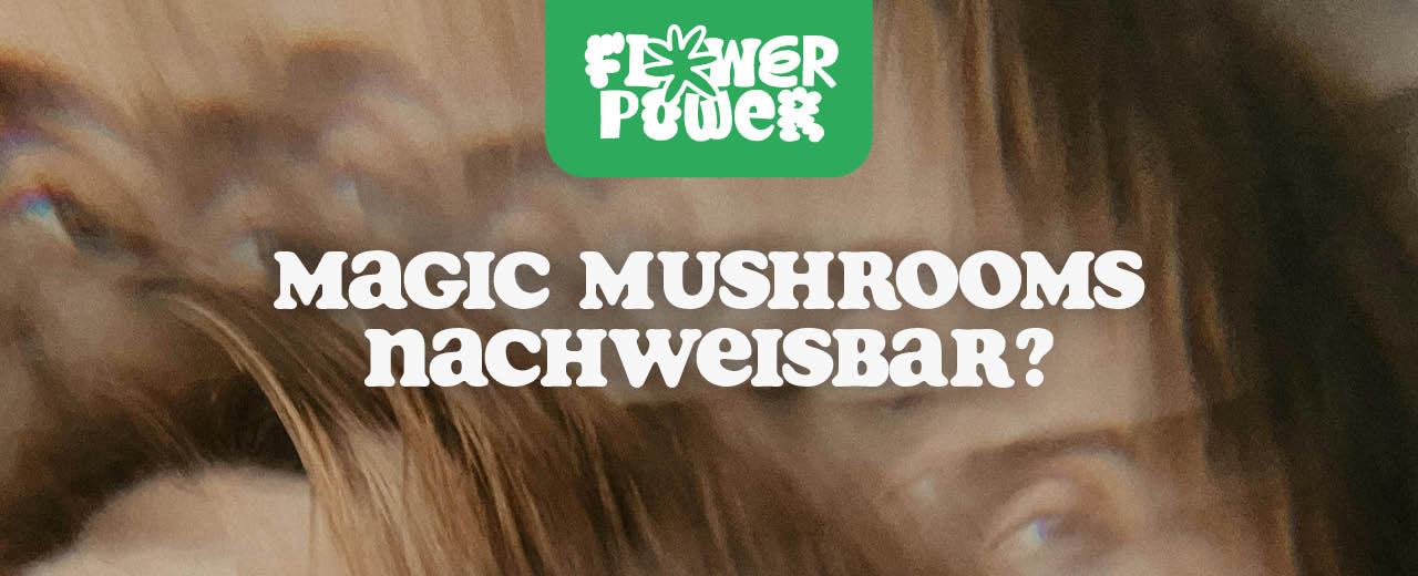 Magic Mushrooms