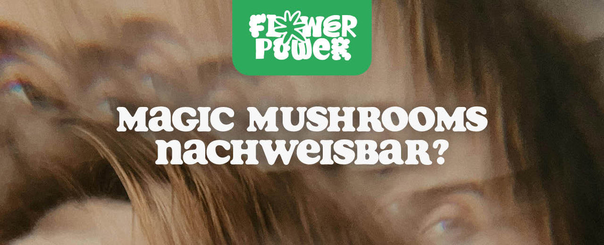 Magic Mushrooms