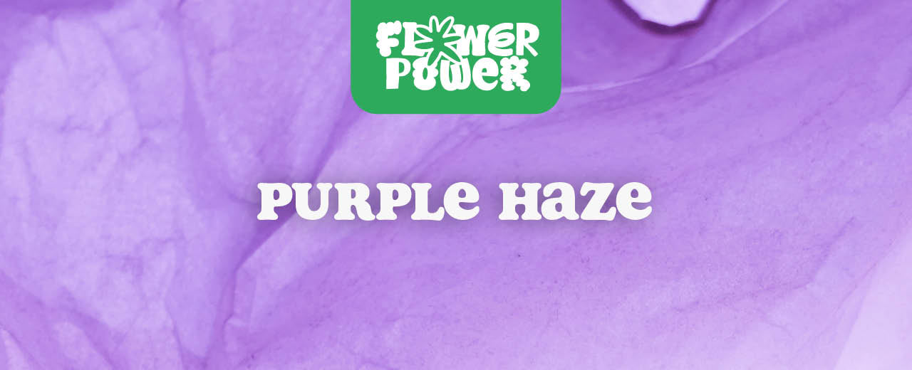 Purple Haze