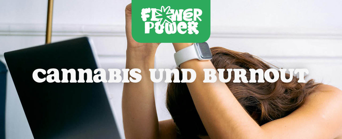 Cannabis