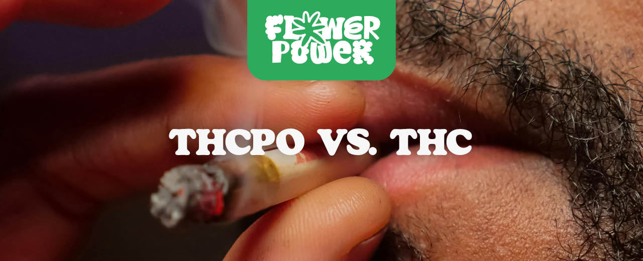 THCPO vs. THC: Was sind die Unterschiede in Wirkung & Potenz - Flower Power