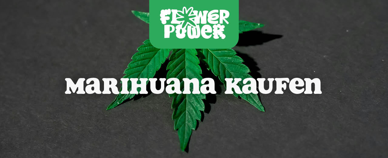 Marihuana kaufen