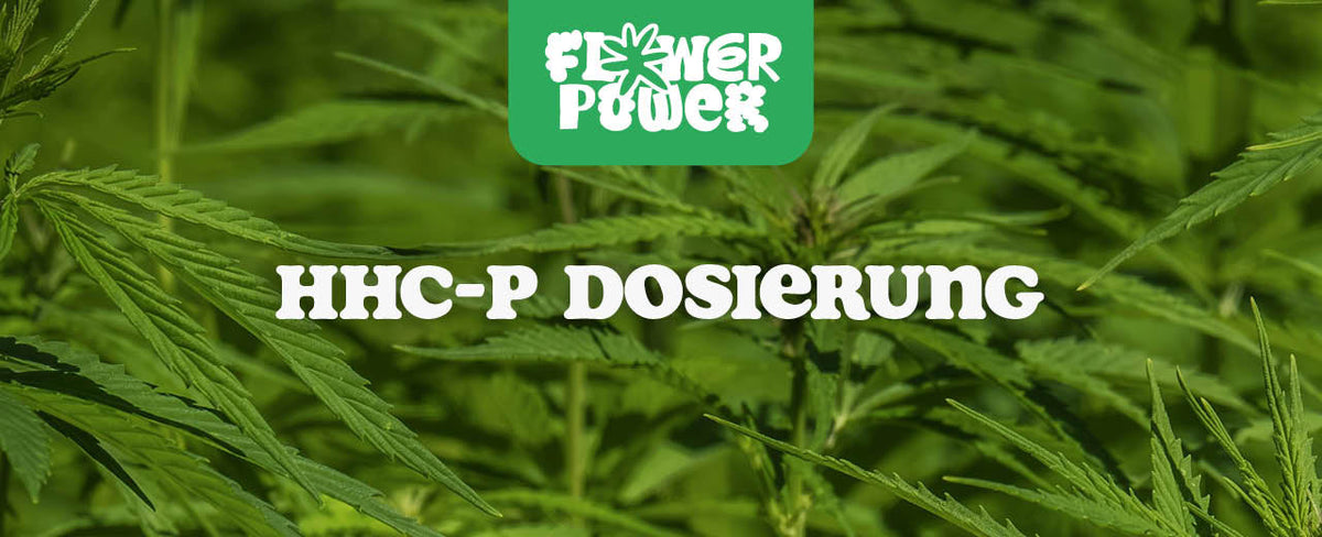 HHC-P
