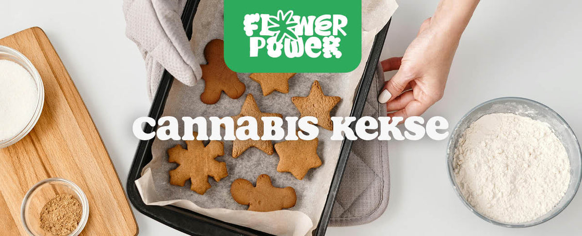 Cannabis