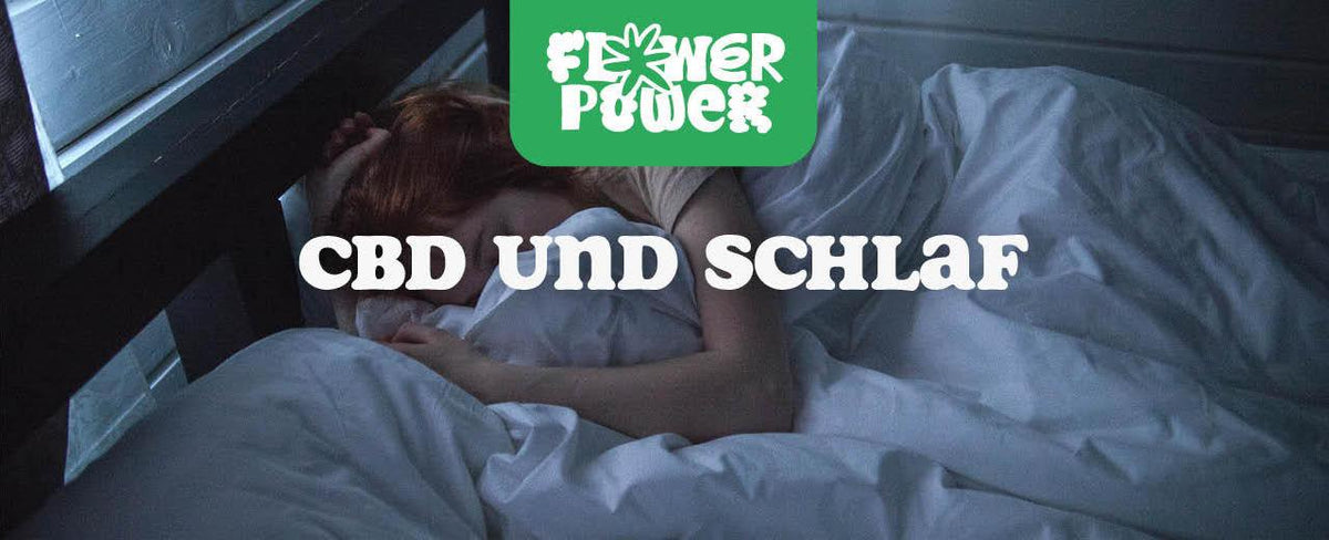 CBD und Schlaf: Wie Cannabidiol bei Schlafstörungen helfen kann - Flower Power