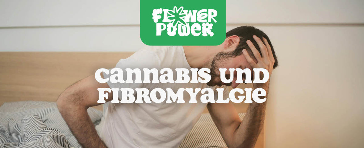 Cannabis