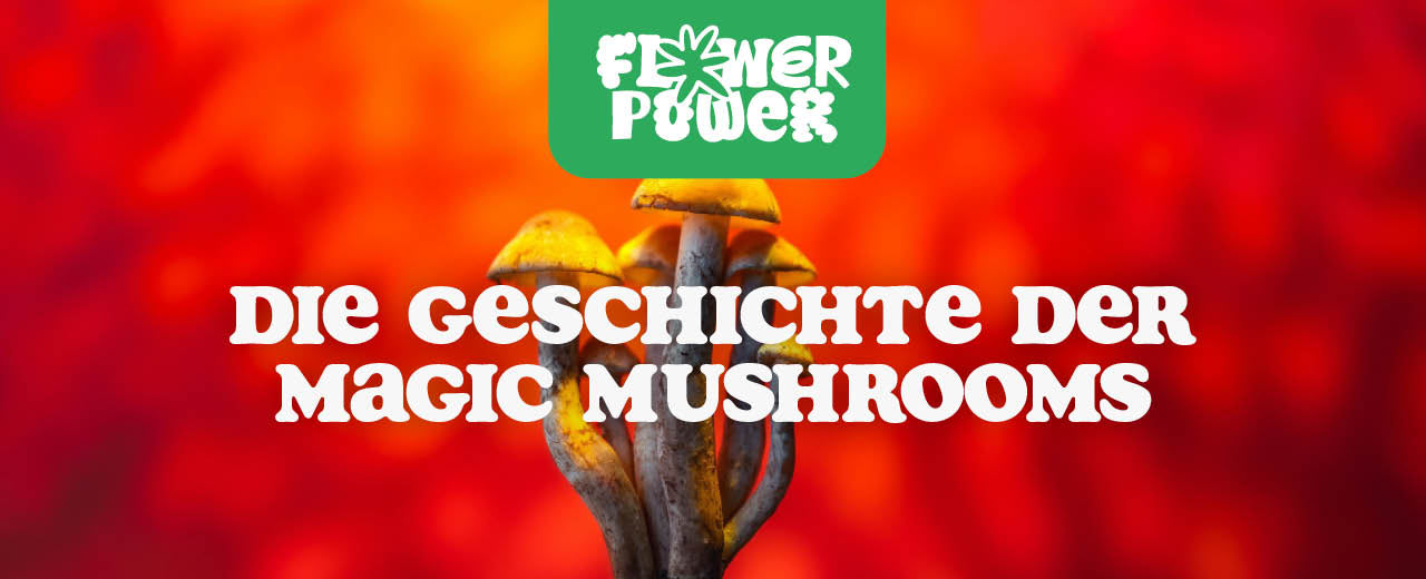 Magic Mushrooms