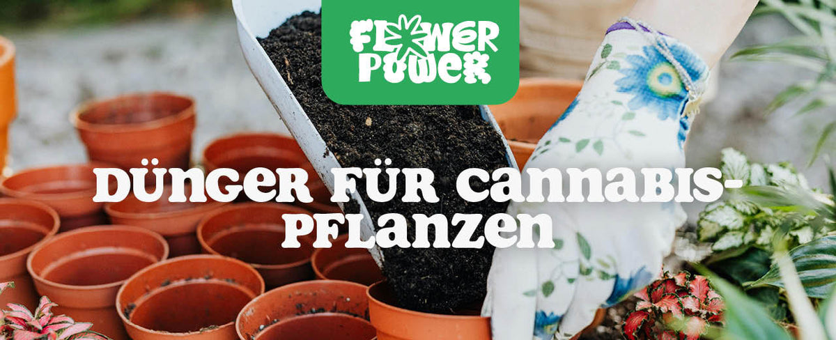 Dünger