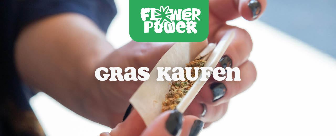 Gras kaufen