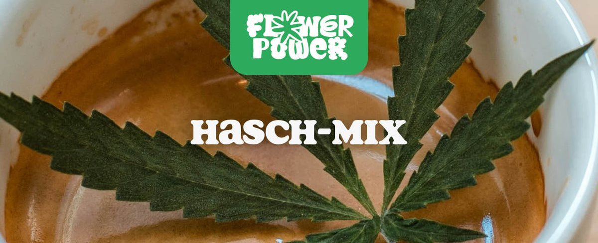 Hasch