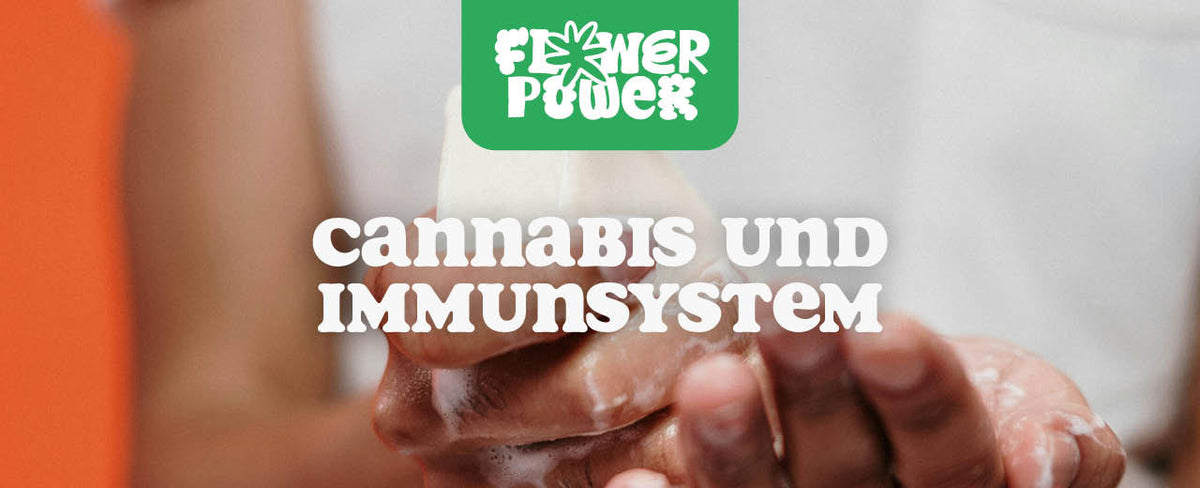 Cannabis