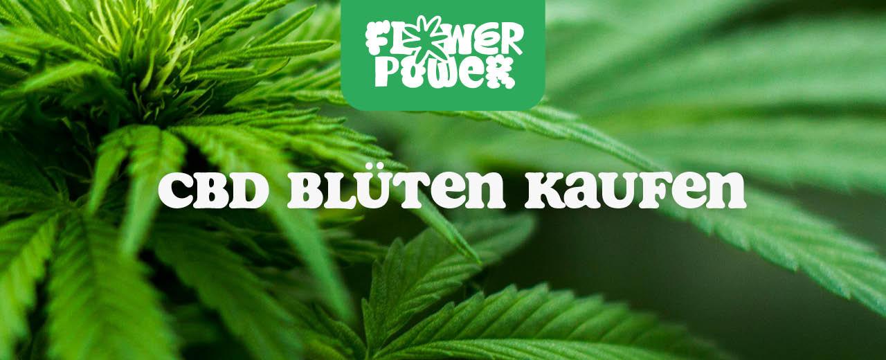 CBD Blüten kaufen - Flower Power