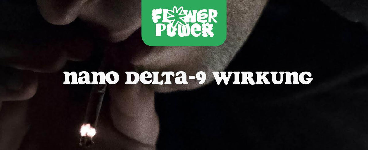 Nano Delta-9 Wirkung: Alles über Effekte, Dauer & Dosierung - Flower Power