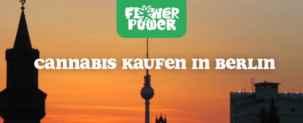 Cannabis kaufen in Berlin: Dein Guide zur neuen Legalisierung - Flower Power