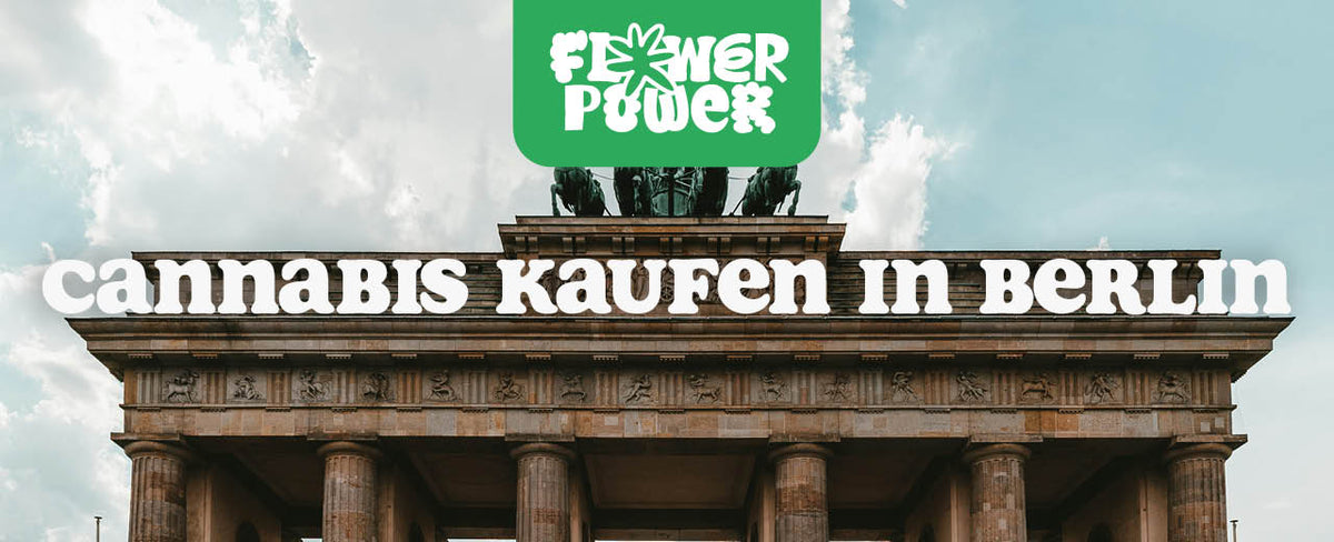 Cannabis kaufen