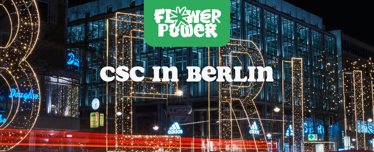 Cannabis Social  Club