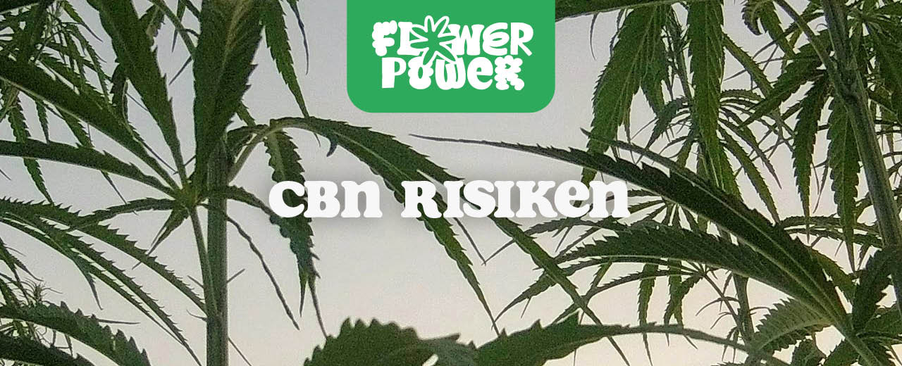 CBN