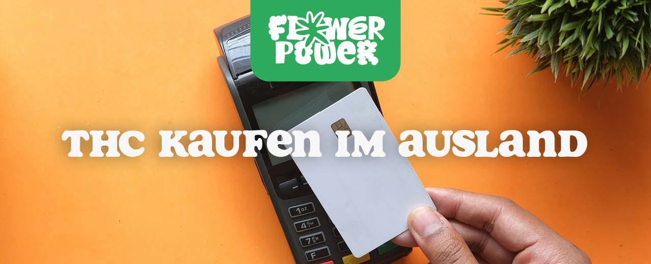 THC kaufen