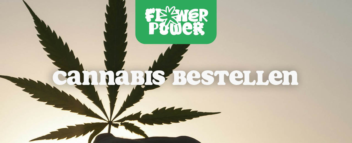 Cannabis bestellen