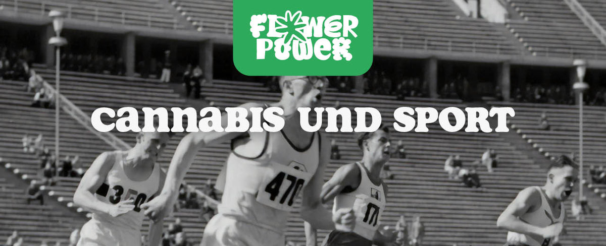 Cannabis