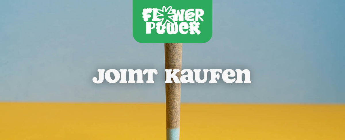 Joints kaufen