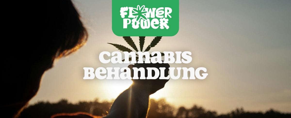 Cannabis Behandlung