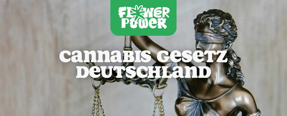 Cannabis Gesetz Deutschland