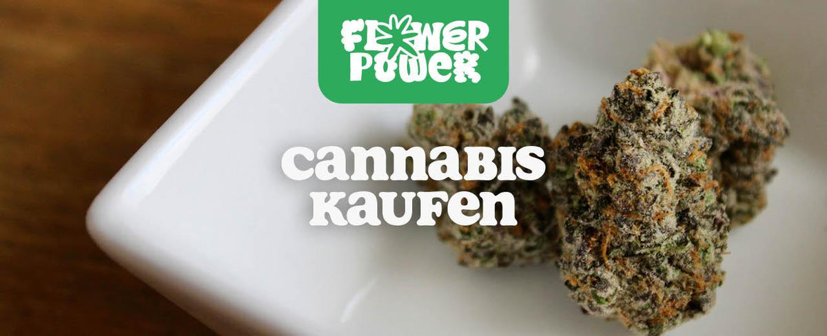 Cannabis kaufen: Dein Guide zum sicheren & legalen Kauf - Flower Power