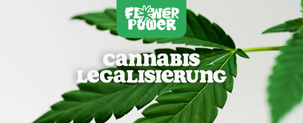 Cannabis Legalisierung