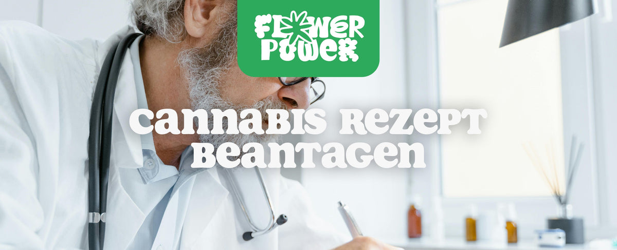 Cannabis Rezept beantragen