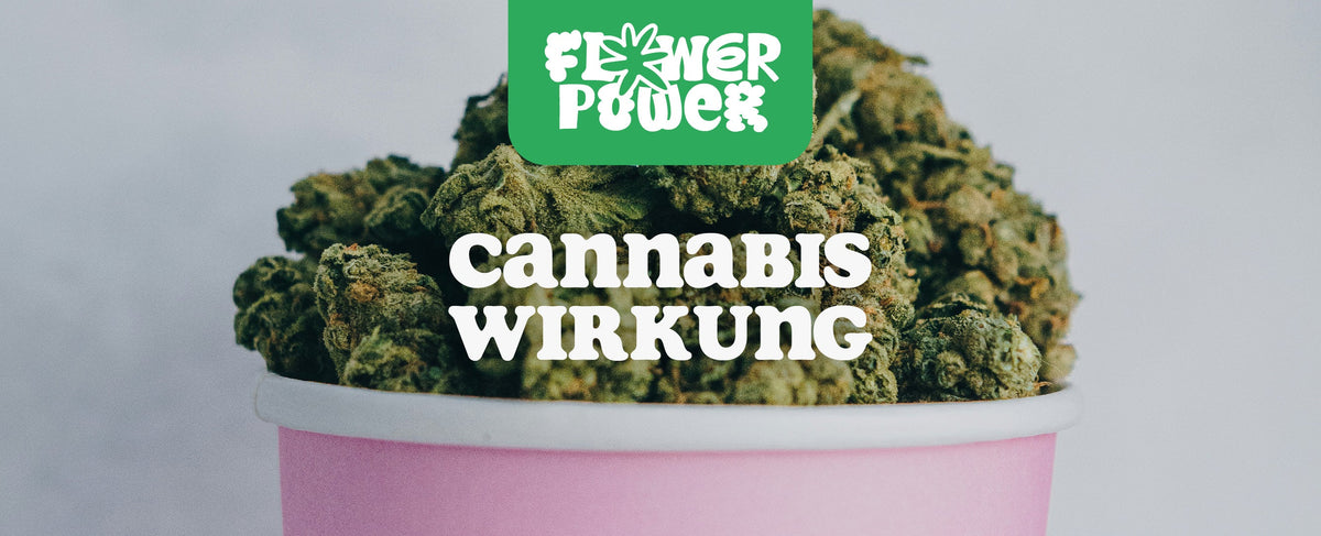 Cannabis Wirkung