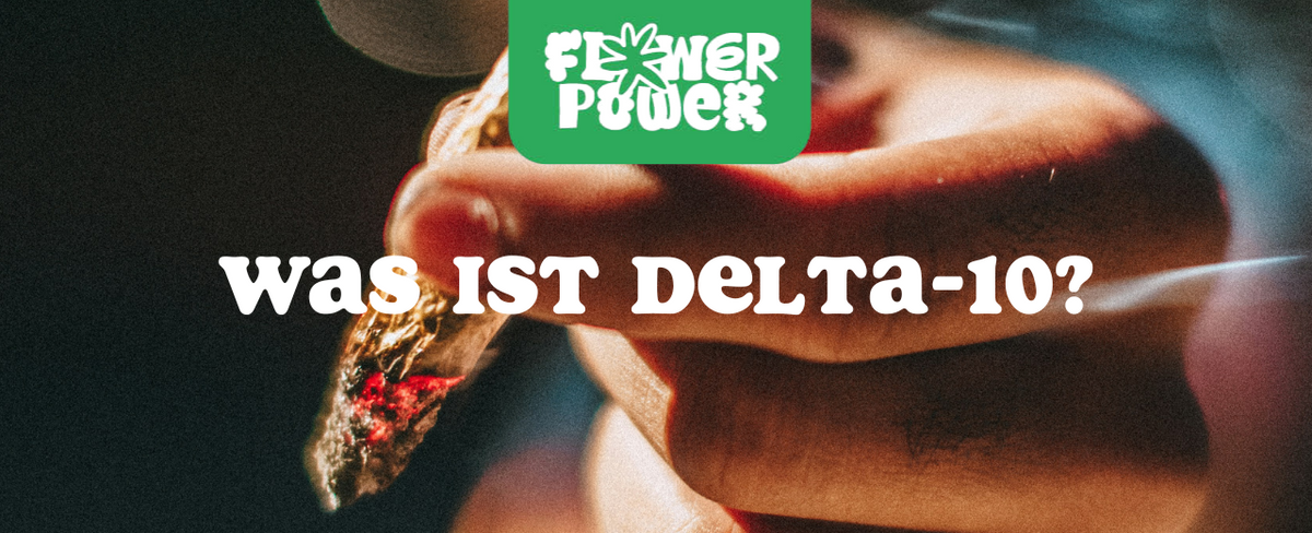 Chemische Strukturmodell mit Markierung – Was ist Delta-10 und wie unterscheidet es sich von anderen Cannabinoiden.