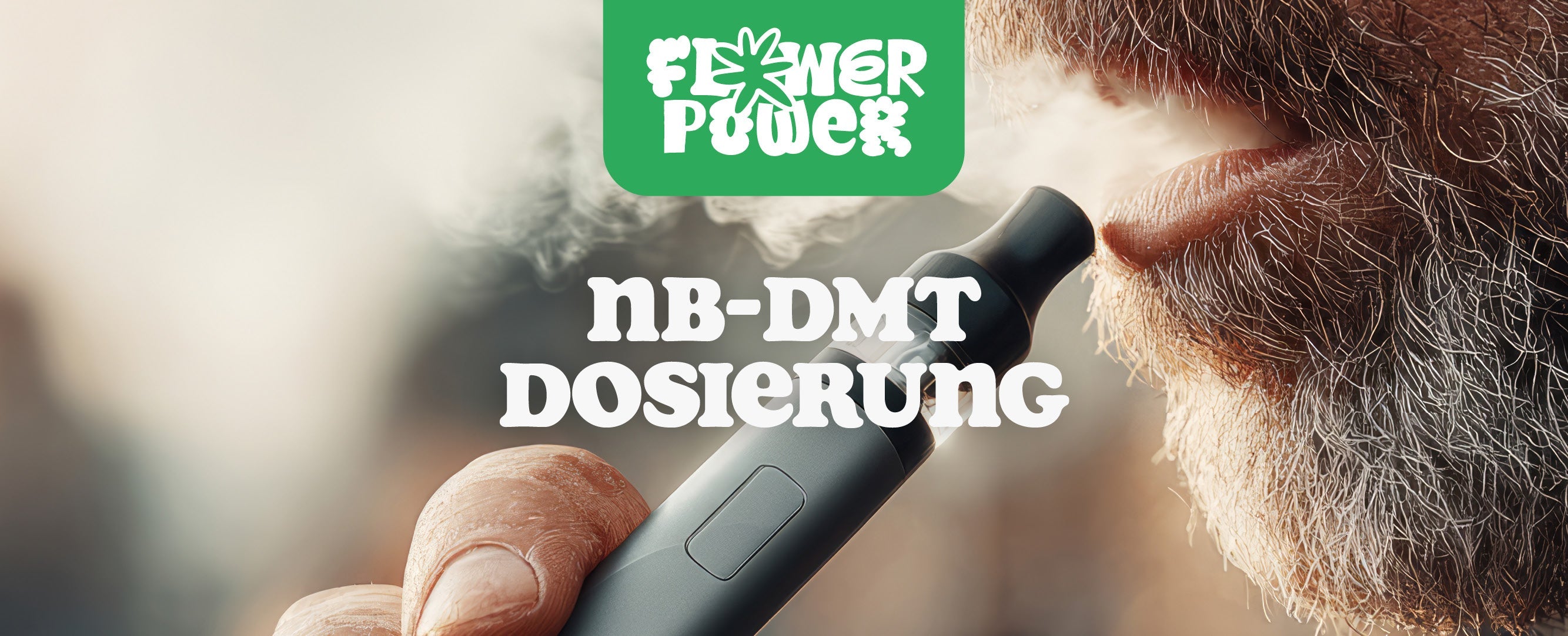 NB DMT Dosierung
