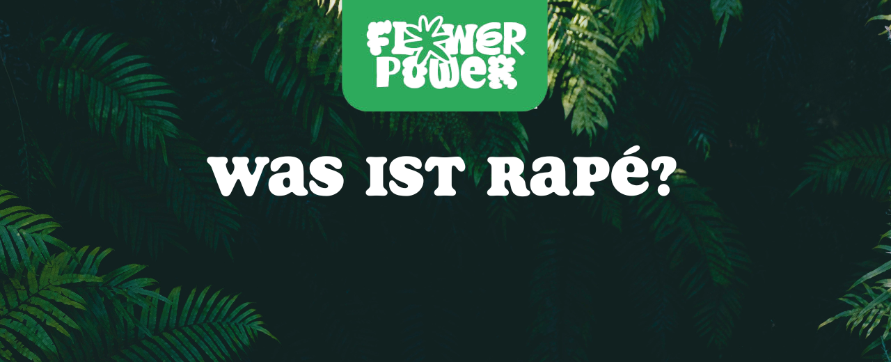 chamanische Rapé-Schale mit feinem braunen Pulver – Was ist Rapé und wie wird es verwendet?