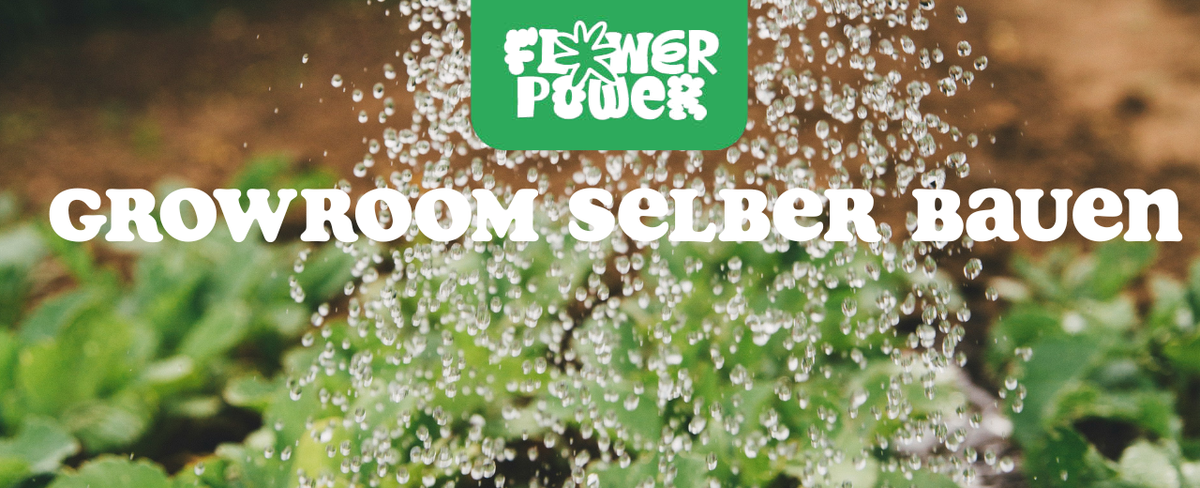 Tabelle mit Stromkosten und Ausstattung – Growroom 2025 Kosten und Tipps für Einsteiger