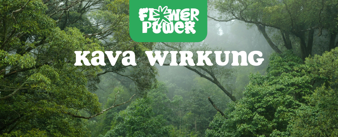 Traditionelle Kava-Schale mit braunem Getränk – Kava Wirkung und traditionelle Anwendung im Überblick.