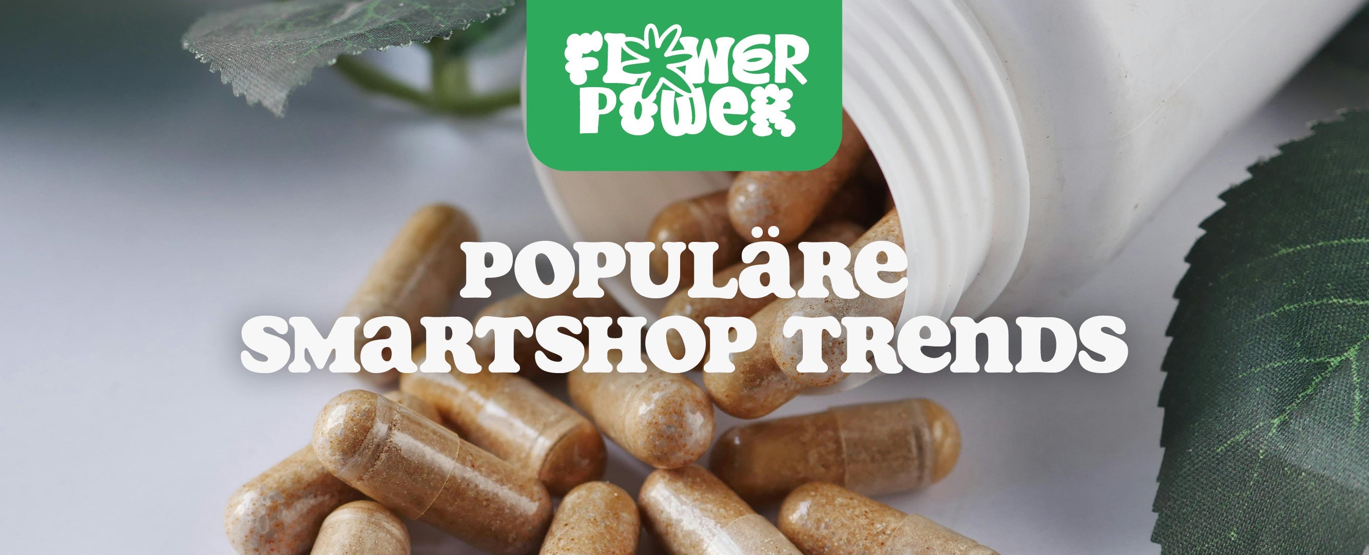 Populäre Smartshop Trends