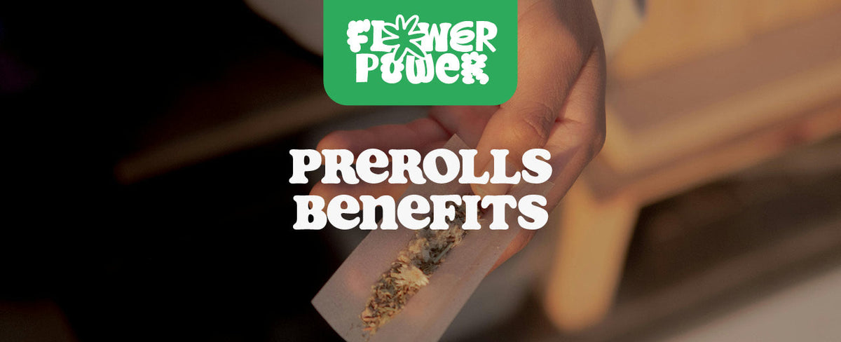 Vorgedrehte Joints – 5 smarte Benefits von Prerolls - Flower Power