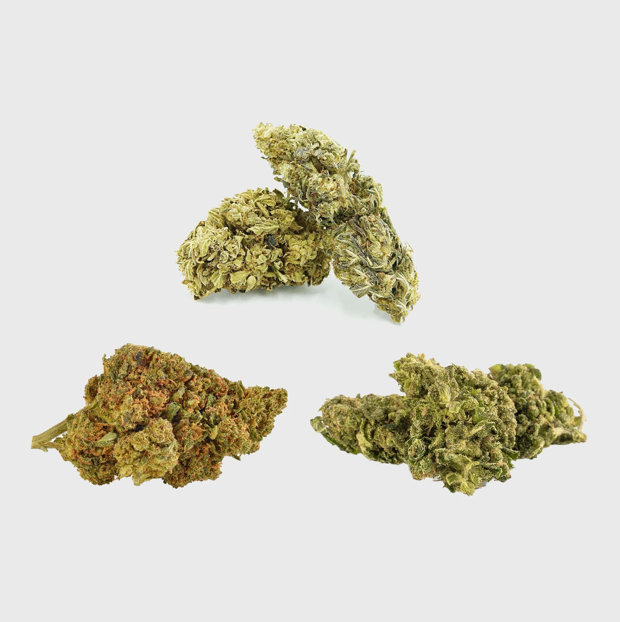 Natürliche Cannabisblüten, hochwertig und nachhaltig, ideal für Premium-Produkte
