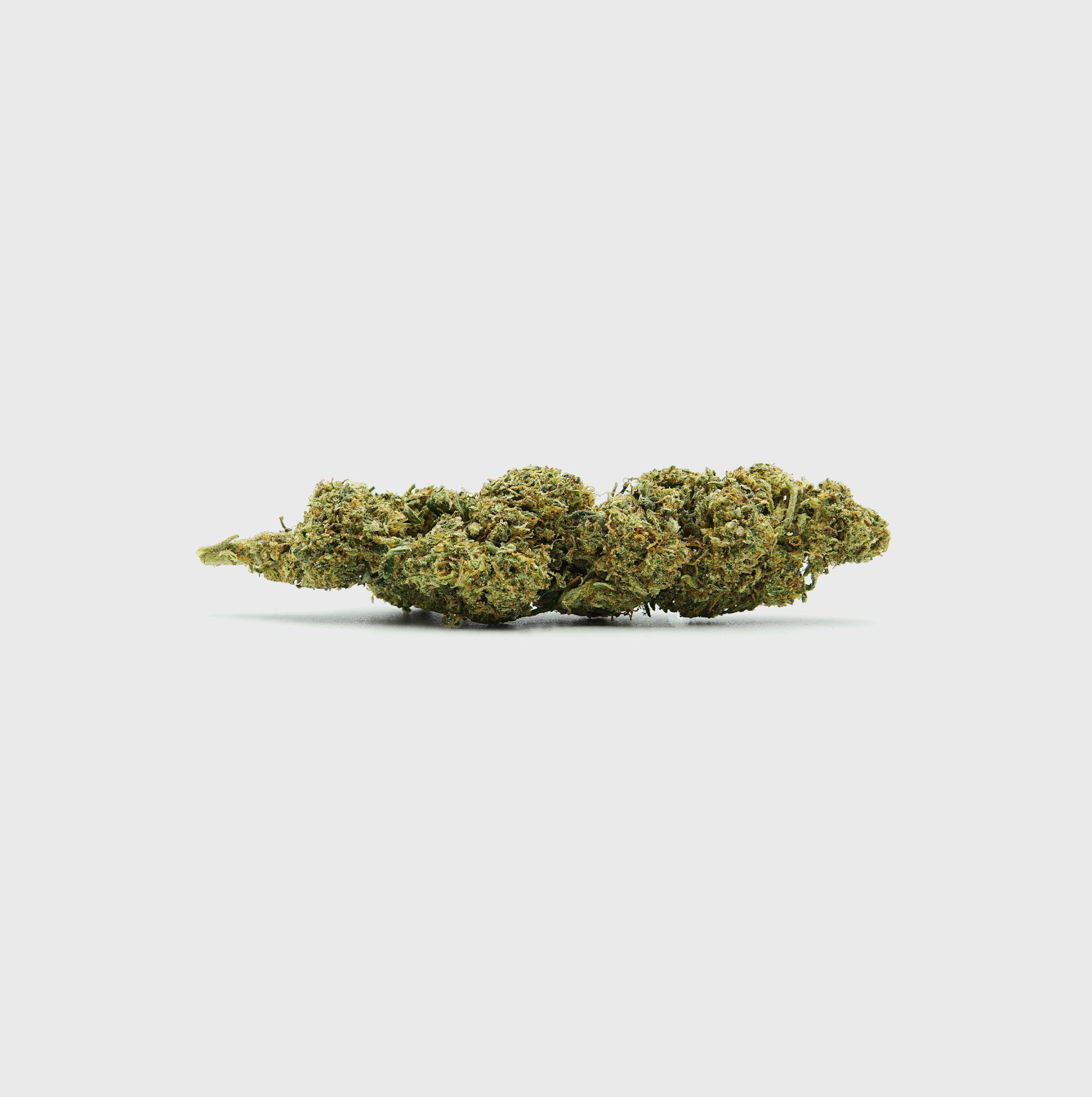 Diesel Dynamite - SATIVA TURBO LVL 5/5