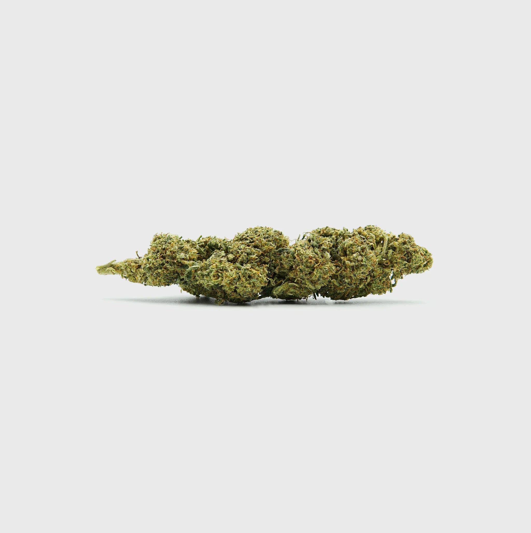 Natürliche Cannabisblüte, hochwertig und nachhaltig, ideal für Premium-Produkte